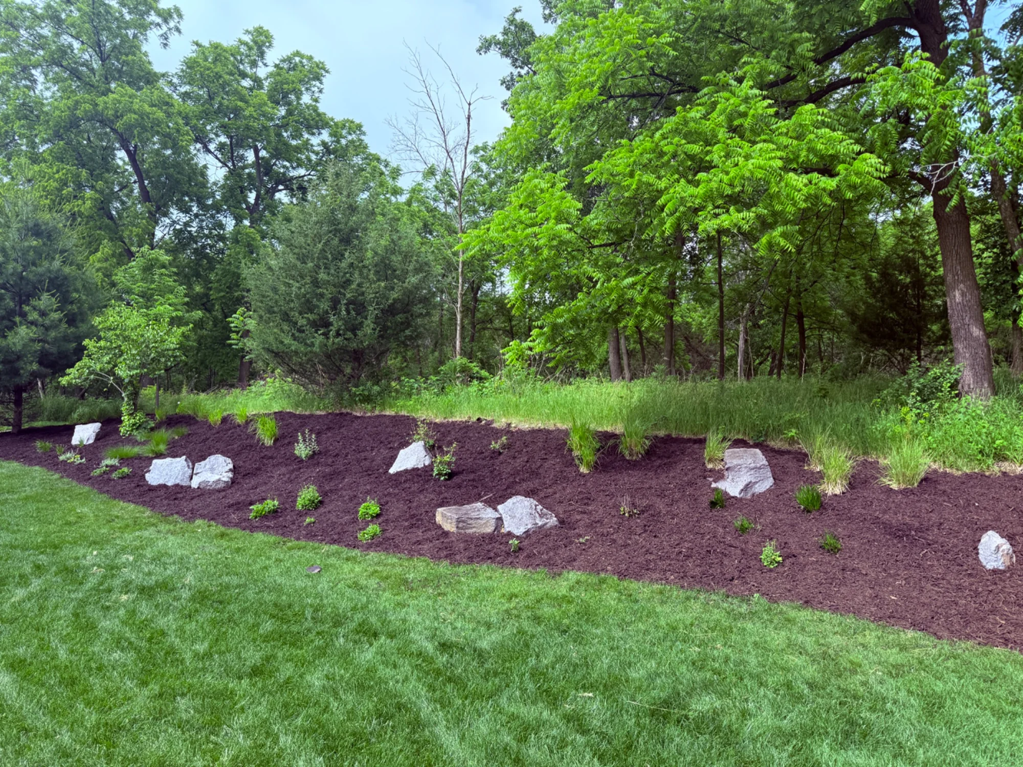 A fresh start for established beds — after