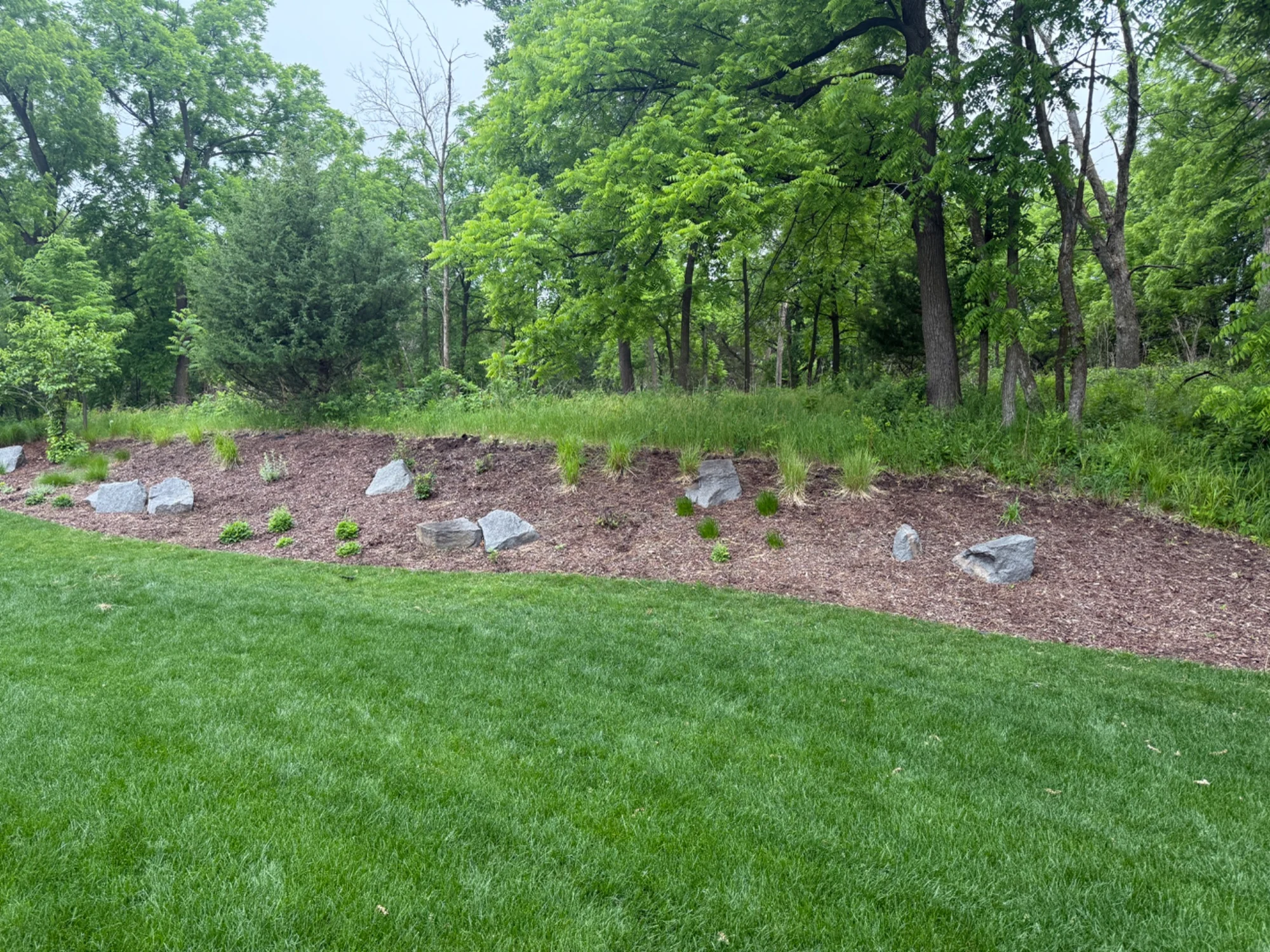 A fresh start for established beds — before