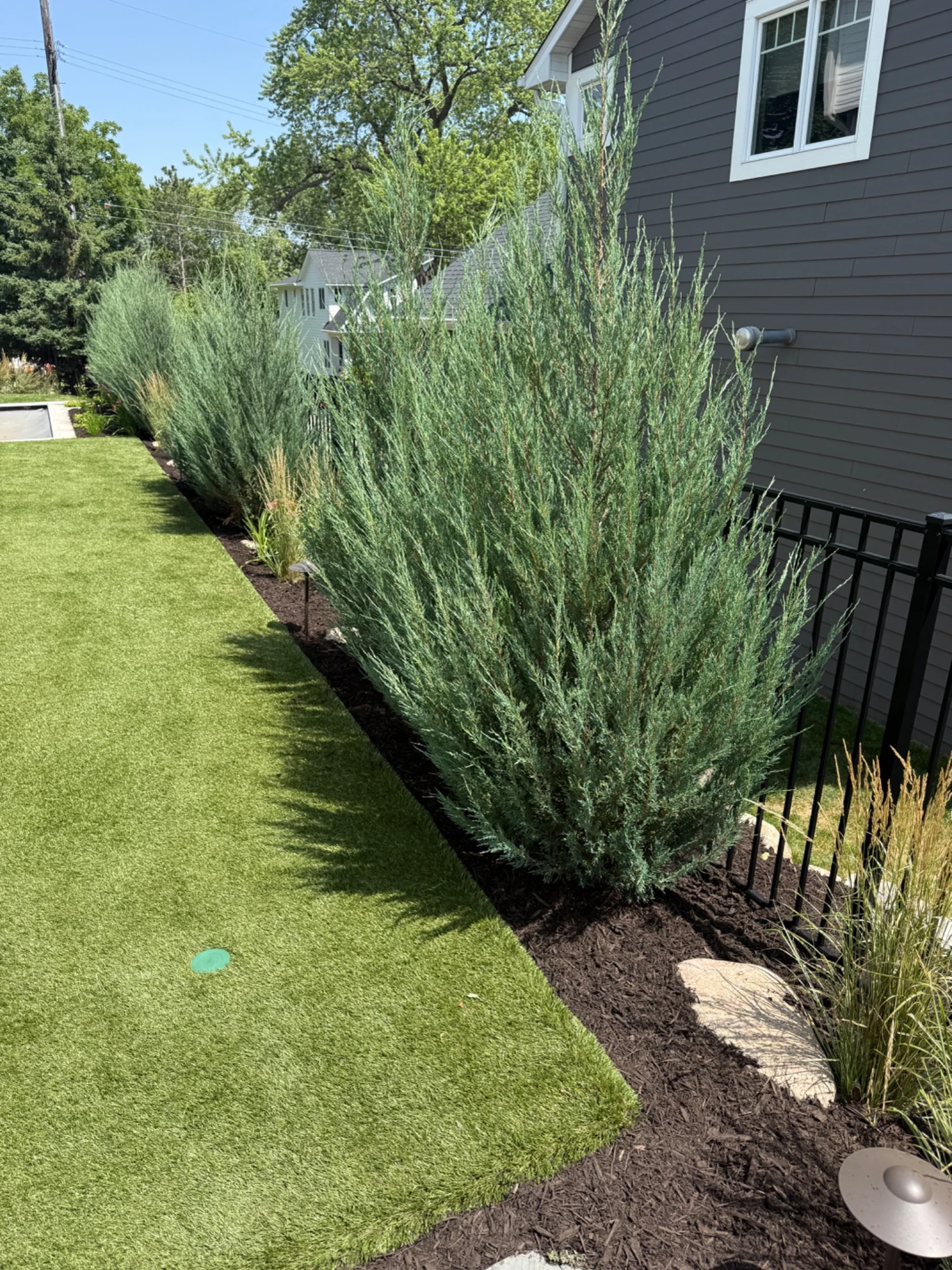 Fresh mulch beside ornamental grasses and a neatly defined lawn