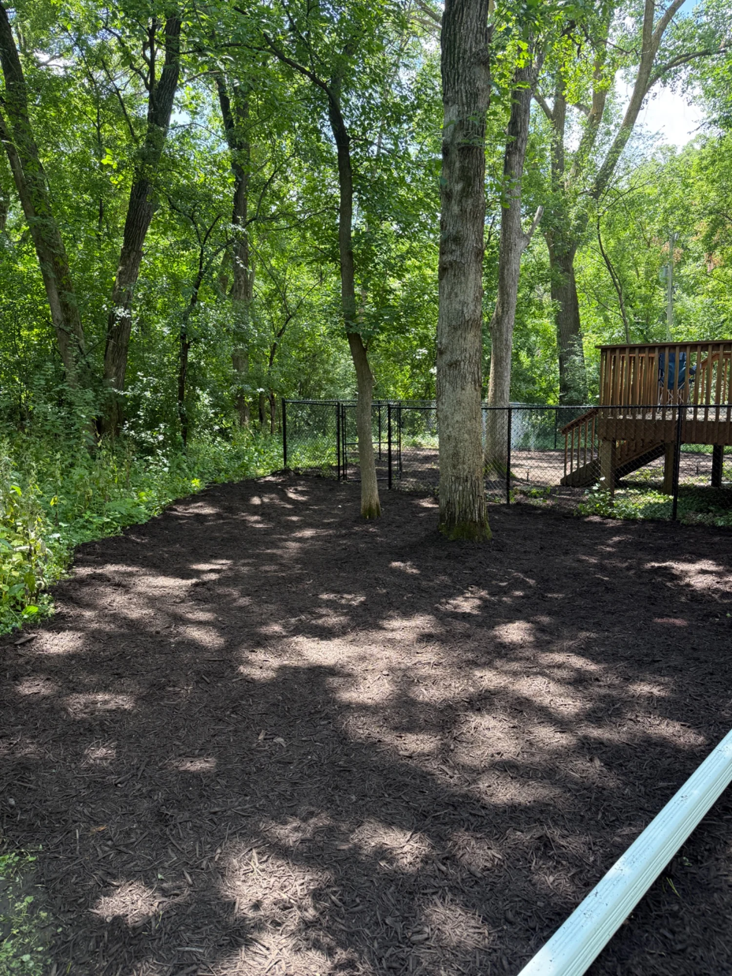 Room to enjoy the backyard — after