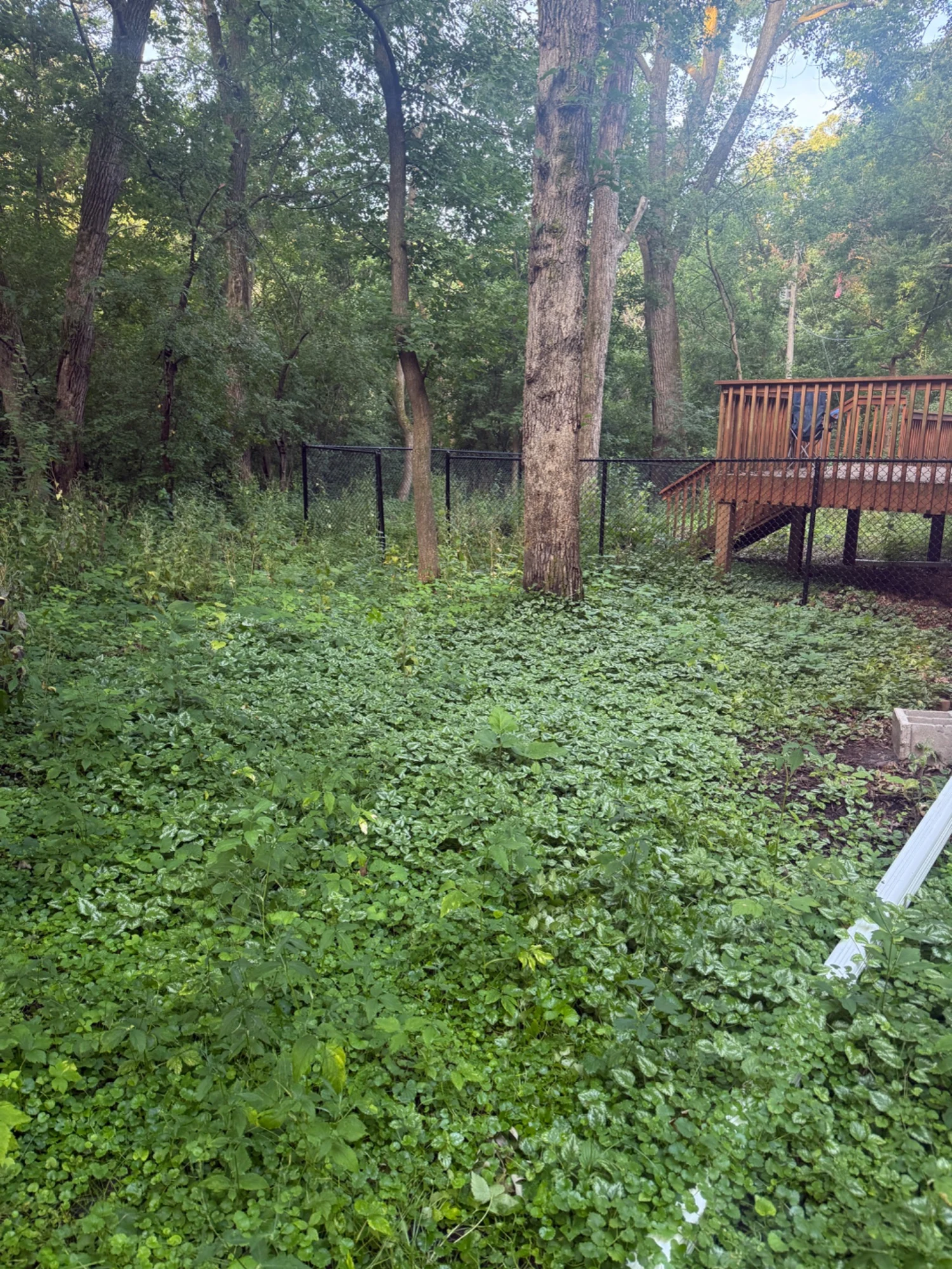 Room to enjoy the backyard — before